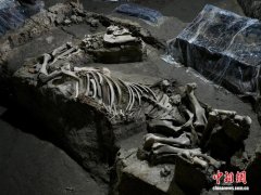 （新春走基层）地下五米“寻马记”